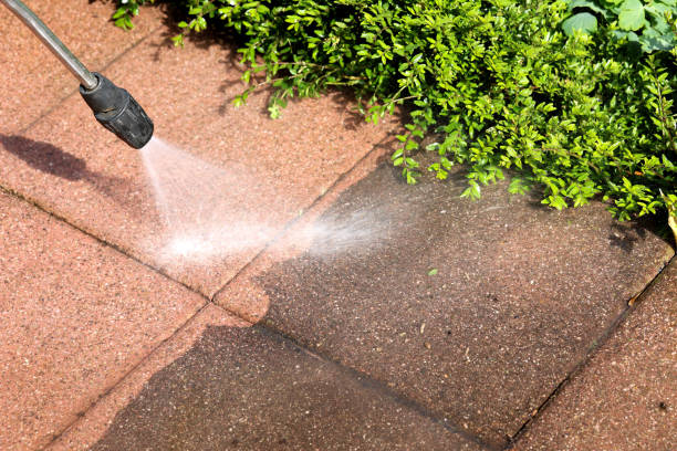 Best Local Pressure Washing Services  in West Clarkston Highland, WA